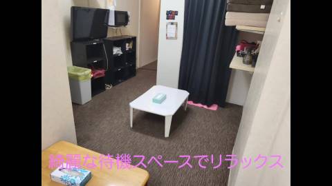 動画